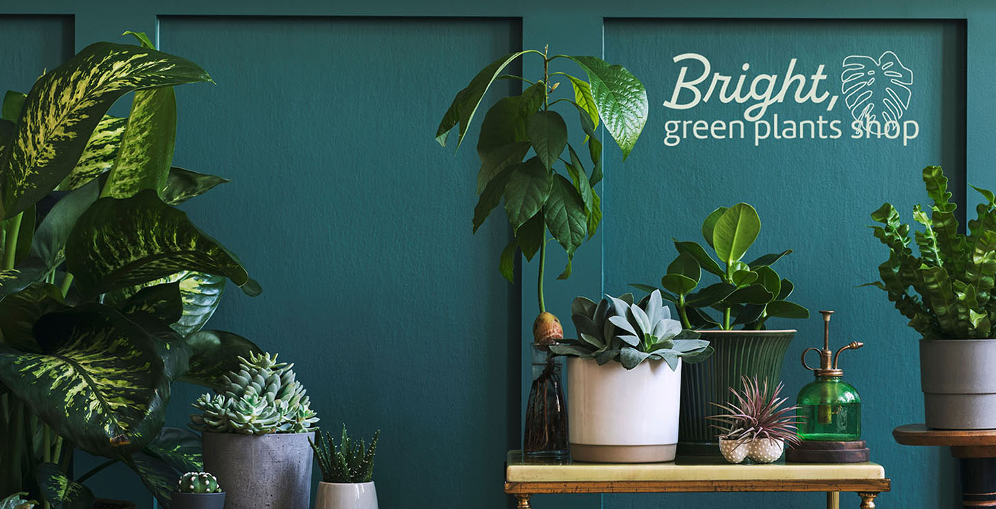 ヘッダーの画像・オンラインの画像